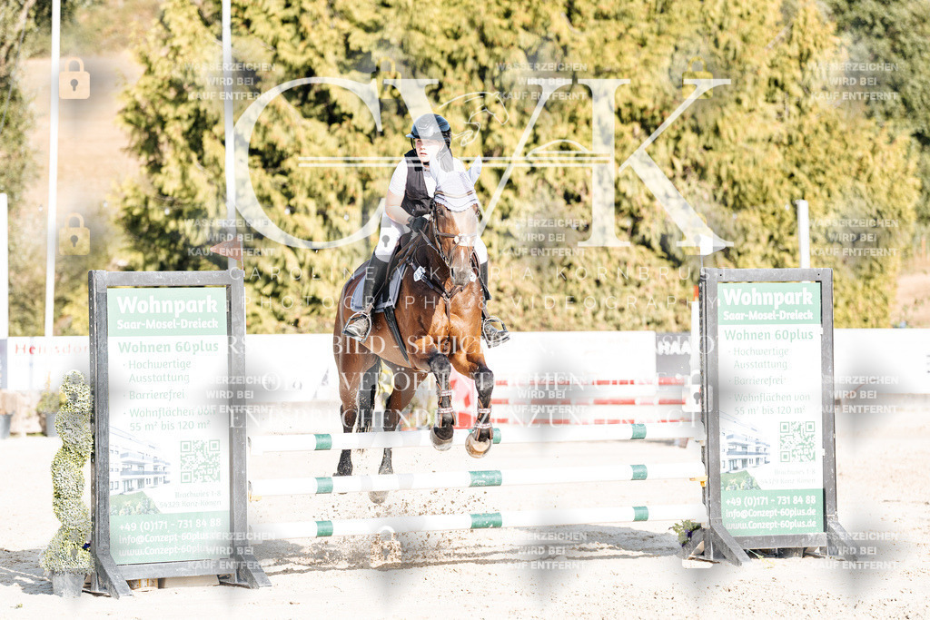 CK909612 | Turnierfotografie Pferdefotografie Trier Rheinland-Pfalz Pferdesport Reitsport Tierfotografie Sportfotografie Pferdevideo Pferdevideografie Equestrianvideography equestrianphotography  - Realisiert mit Pictrs.com