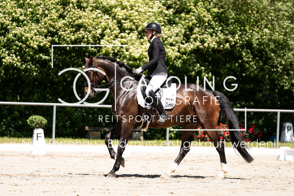 DSC00361 | Carolin Gieschke