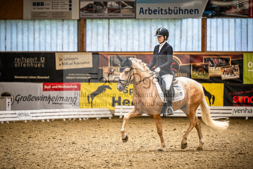 DOS_1964 | Entdecke hochwertige Reitturnierfotos von Foto Oger. Professionell, emotional und authentisch – jetzt Lieblingsmomente im Shop bestellen.Deutschlandweite Turnierfotografie. - Realisiert mit Pictrs.com
