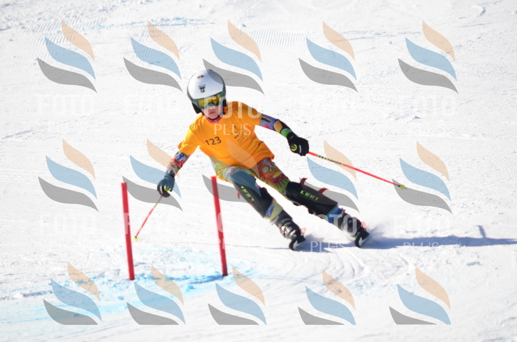 C6372 | holidayphoto