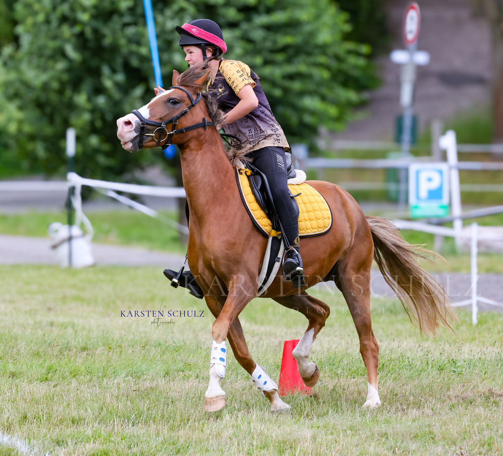 1B3A0719 | Reitsport Reiten