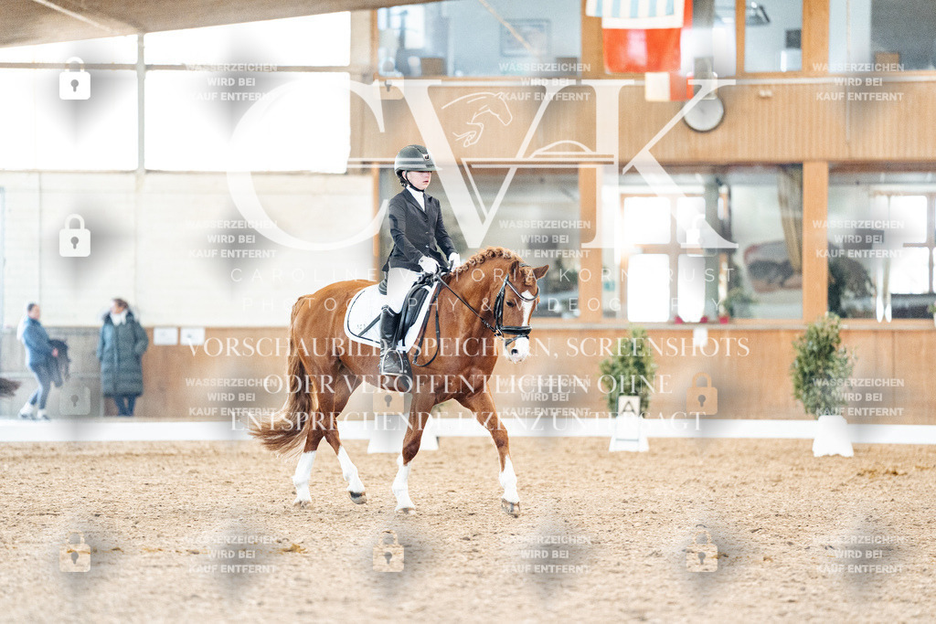 CK908147 | Turnierfotografie Pferdefotografie Trier Rheinland-Pfalz Pferdesport Reitsport Tierfotografie Sportfotografie Pferdevideo Pferdevideografie Equestrianvideography equestrianphotography  - Realisiert mit Pictrs.com