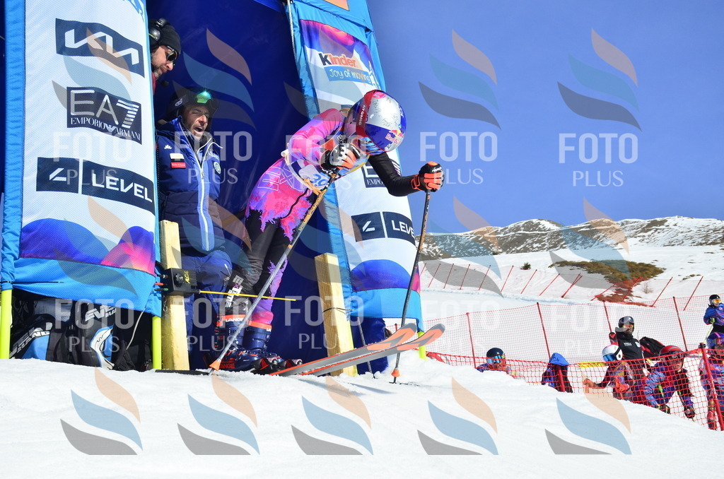 _ELE0048 | holidayphoto