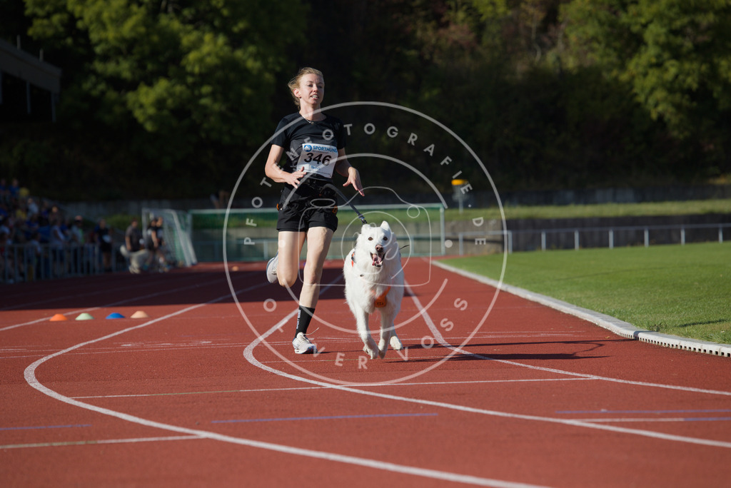 0L8A9362 | Hundefotografie, Tierfotograf, Pfotenfotografie, Fotoshooting Hund, Hunde Portrait, Hundesport, Hundeportraits, Heideshooting, Hunde, Sportfotograf, Hundefotograf, Turnierhundsport, THS,  - Realisiert mit Pictrs.com