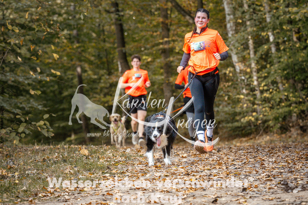 1311_ZZ97614 | kk-dogfotos