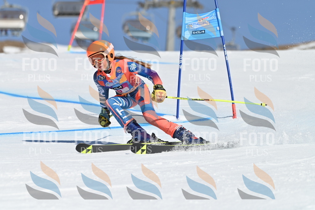 BGV_7737 | holidayphoto