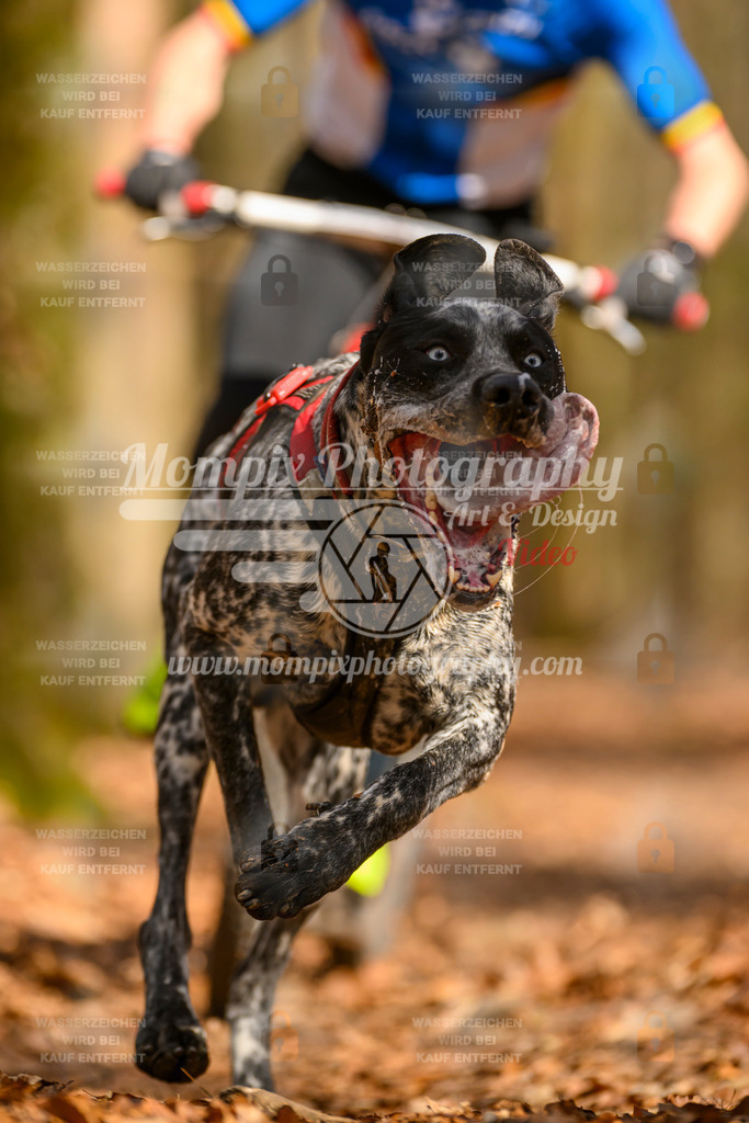 MompixPhotography_Habay2025_SA_SCO-45 | PayLife