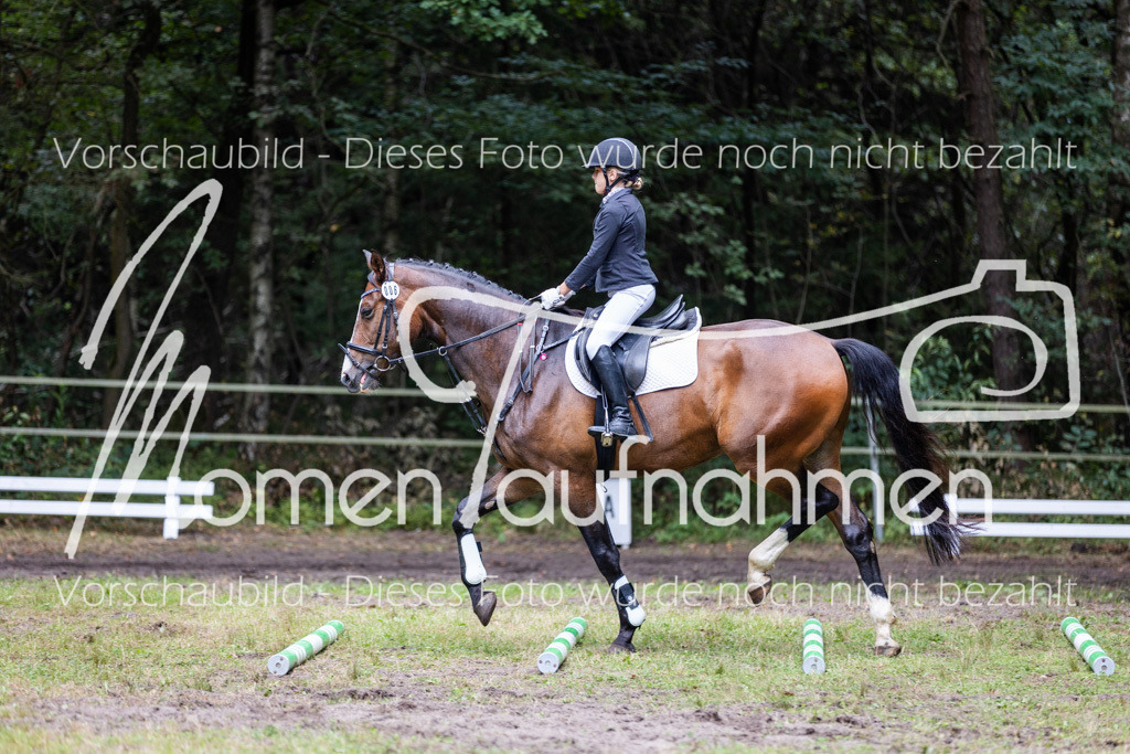 HB-Caprilli-008 | MomenTaufnahmen Pferdesportfotos