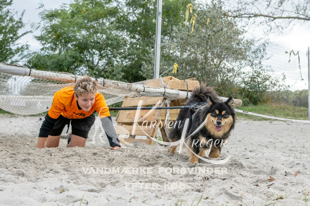 1517_ZZ94087 | kk-dogfotos