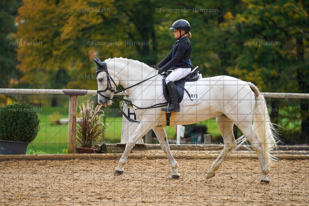 20221008-FAH01191 | Diessen am Ammersee, 2022, Dressur- und Springturnier, Reitsportbilder, Turnierfotografen Bayern, Pferdefotografen, Fotoagentur Herrmann, Turnierbilder