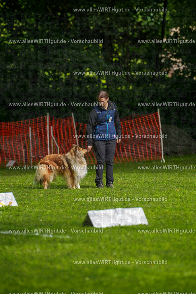 @allesWIRTHgut_Tierfotografie - www.allesWIRTHgut.de - 7R502946 | Professionelle Tierfotografie in Mönchengladbach von Daniel Wirth (allesWIRTHgut). Liebevolle & natürliche Bilder von Hunden & Katzen für unvergessliche Erinnerungen.