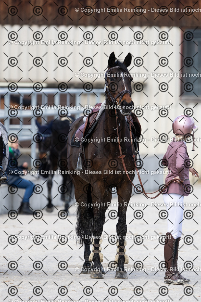 CL5A8306 | Emilia Reinking Fotografie - Realisiert mit Pictrs.com