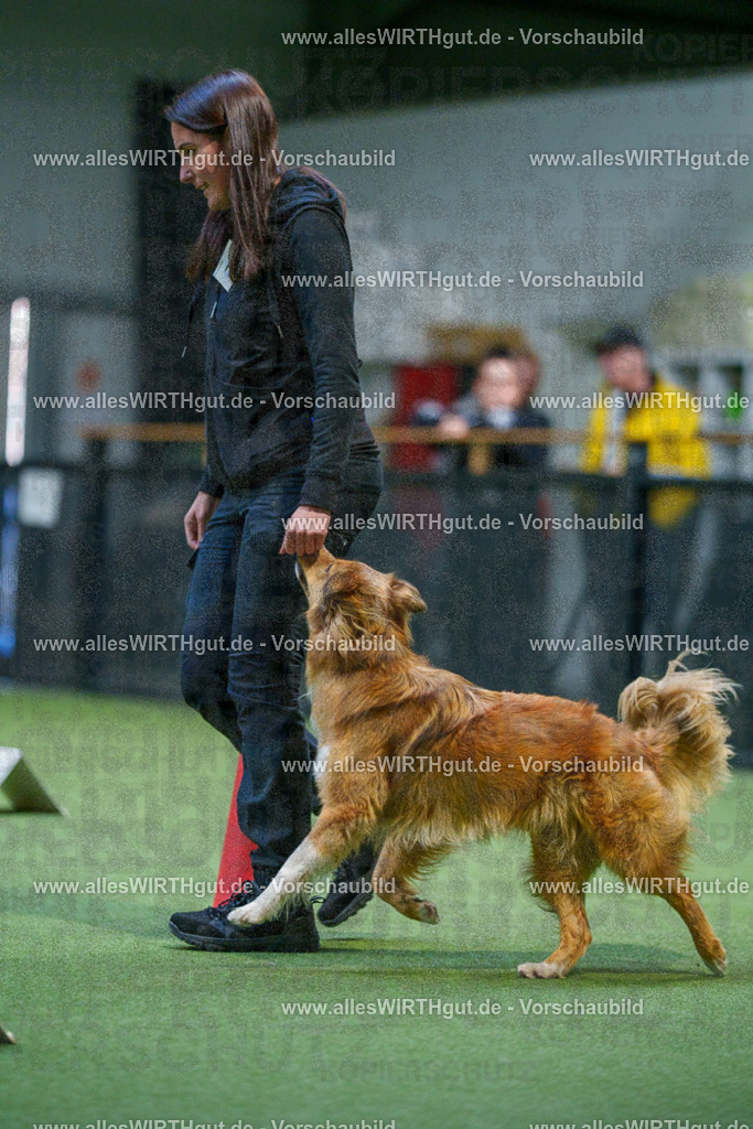 7R502969 | Professionelle Tierfotografie in Mönchengladbach von Daniel Wirth (allesWIRTHgut). Liebevolle & natürliche Bilder von Hunden & Katzen für unvergessliche Erinnerungen.