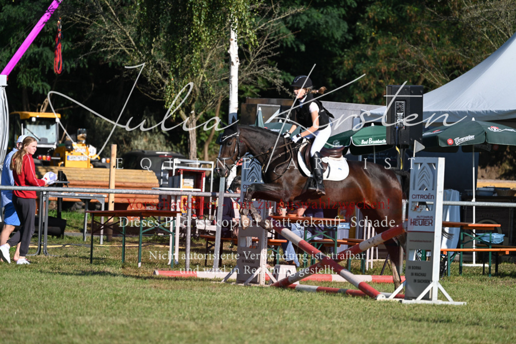 DSC_4683 | Pferde- und Turnierfotografie in Westsachsen. Pferdeportraits, Auftragszeichnungen und intuitive Kunst.