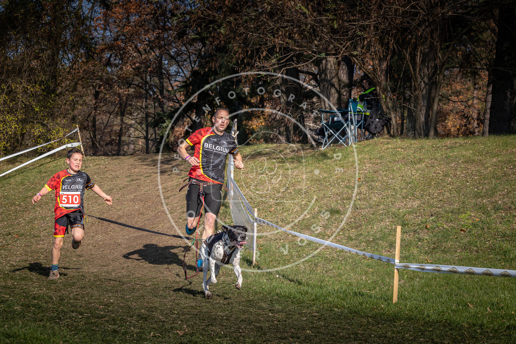 CaniXpix_0L8A8343 | Hundefotografie, Tierfotograf, Pfotenfotografie, Fotoshooting Hund, Hunde Portrait, Hundesport, Hundeportraits, Heideshooting, Hunde, Sportfotograf, Hundefotograf, Turnierhundsport, THS,  - Realisiert mit Pictrs.com