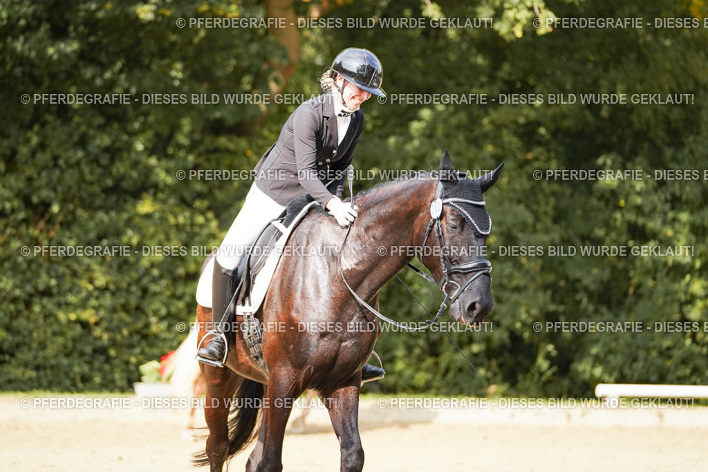 DSC03310 | Pferdegrafie