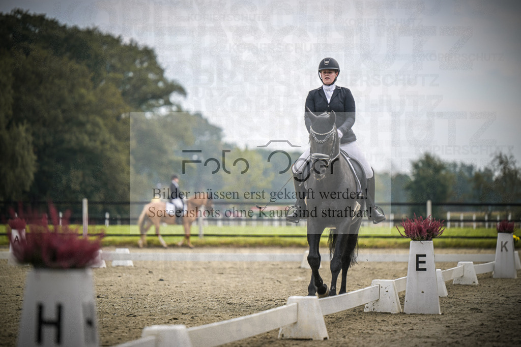 DOS_B513 | Entdecke hochwertige Reitturnierfotos von Foto Oger. Professionell, emotional und authentisch – jetzt Lieblingsmomente im Shop bestellen.Deutschlandweite Turnierfotografie. - Realisiert mit Pictrs.com