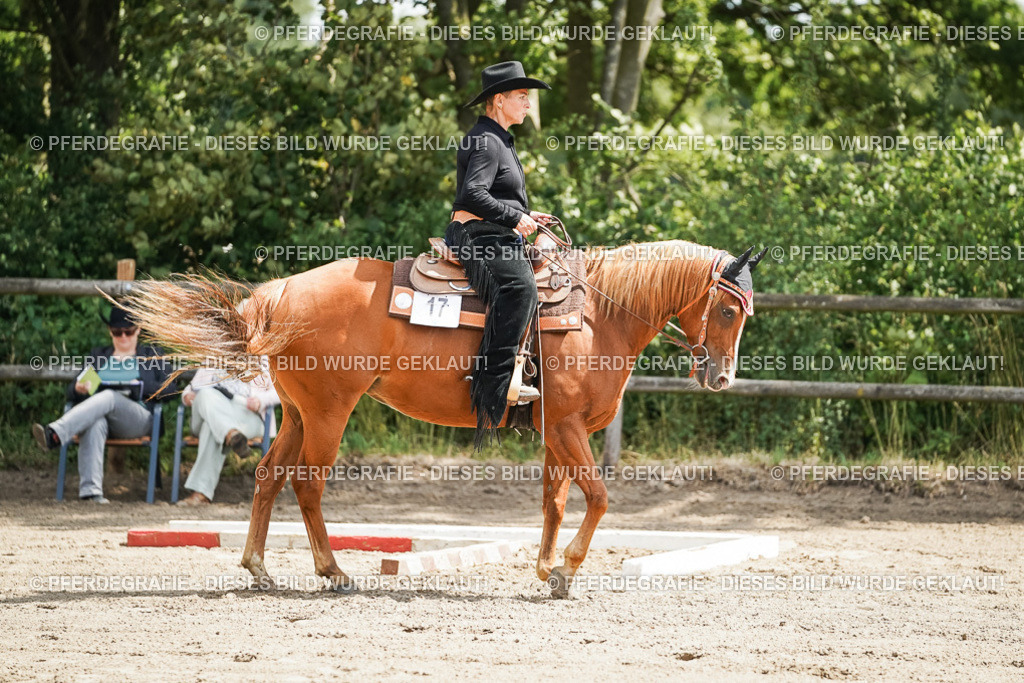 DSC06094 | Pferdegrafie