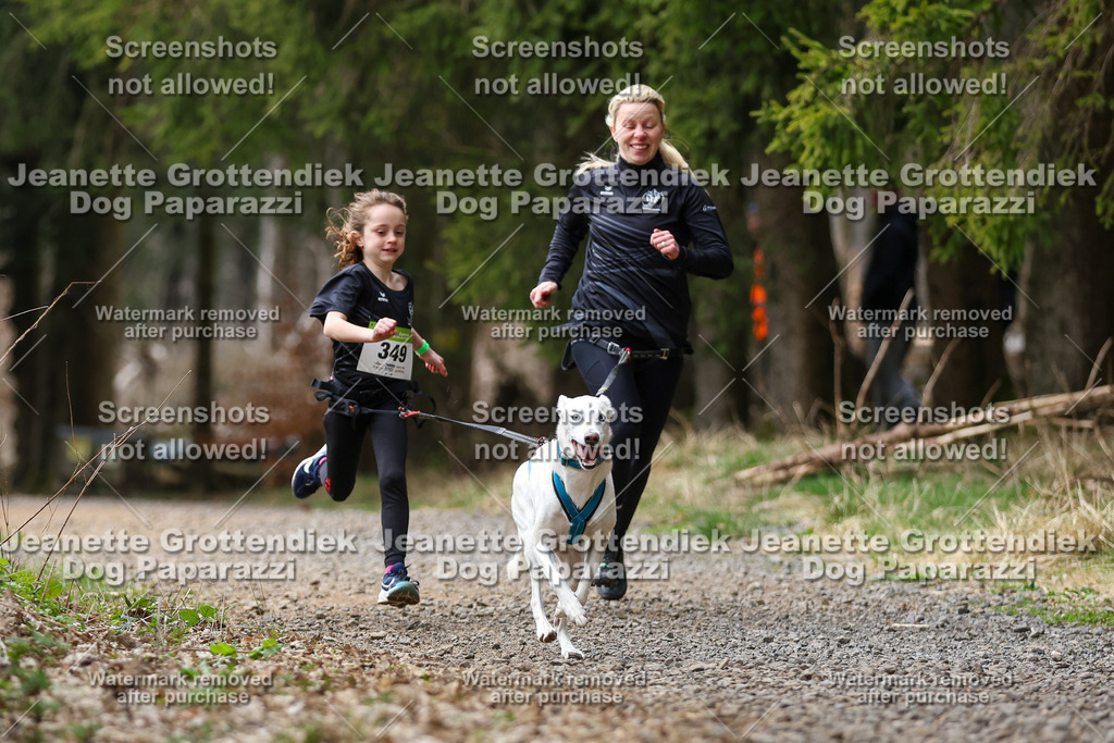 Dog Paparazzi - VCC26-616 | Dog Paparazzi Jeanette Grottendiek Fotografie & Videografie - Realisiert mit Pictrs.com