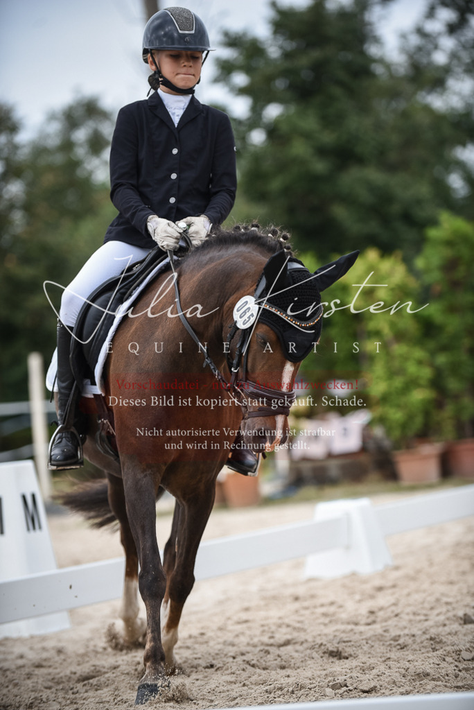 DSC_8163 | Pferde- und Turnierfotografie in Westsachsen. Pferdeportraits, Auftragszeichnungen und intuitive Kunst.