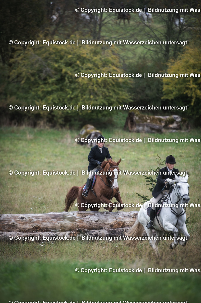 20241013_Jagd-Marbach_0323 | Foto: Thomas Hartig