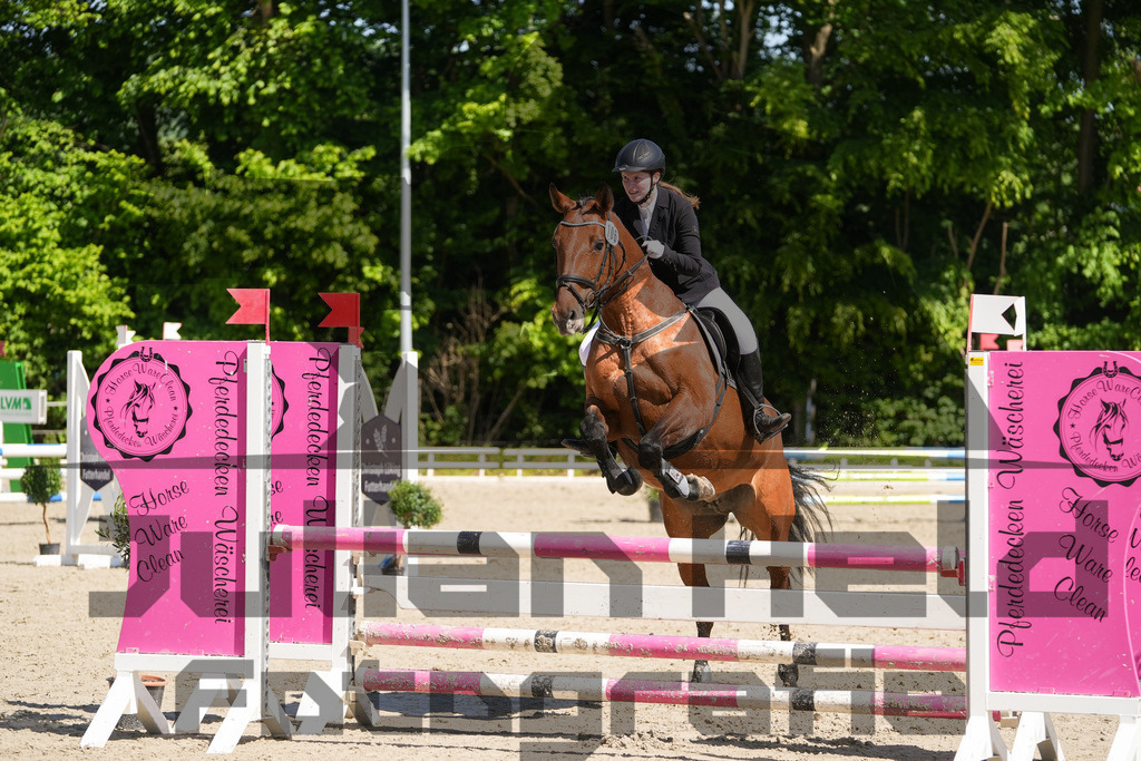 DSC02188 | Julian Held Fotografie - Realisiert mit Pictrs.com