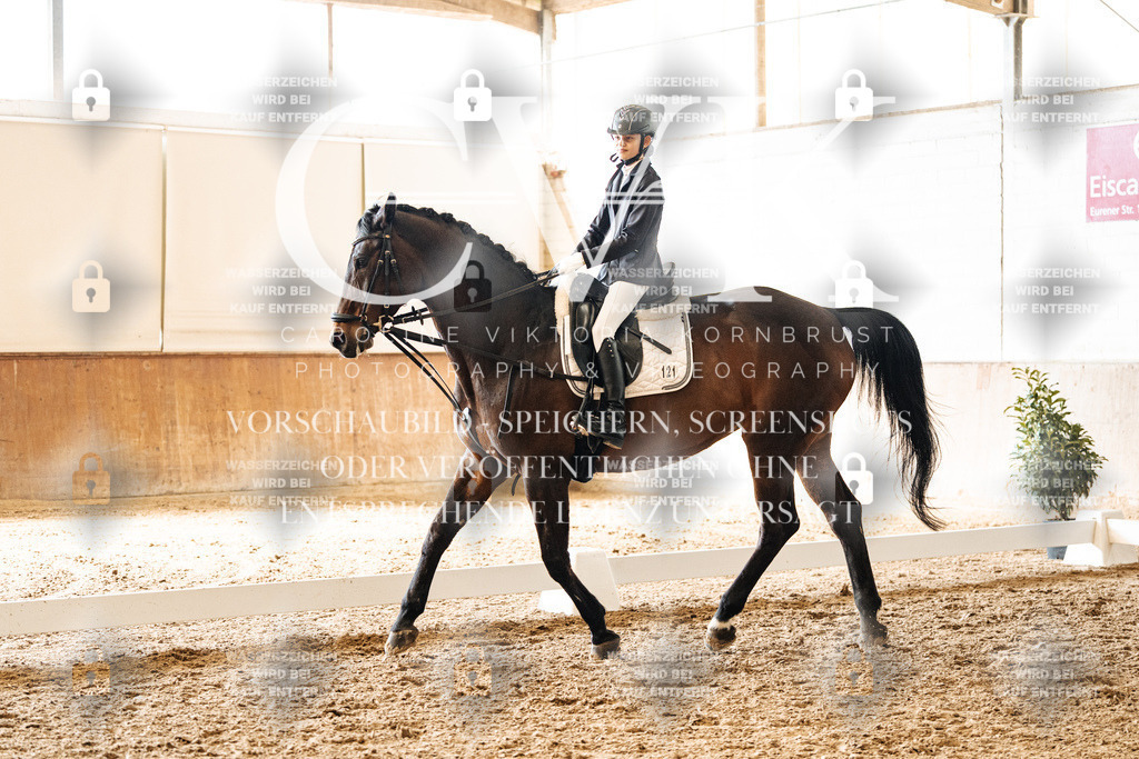 CK900481 | Turnierfotografie Pferdefotografie Trier Rheinland-Pfalz Pferdesport Reitsport Tierfotografie Sportfotografie Pferdevideo Pferdevideografie Equestrianvideography equestrianphotography  - Realisiert mit Pictrs.com