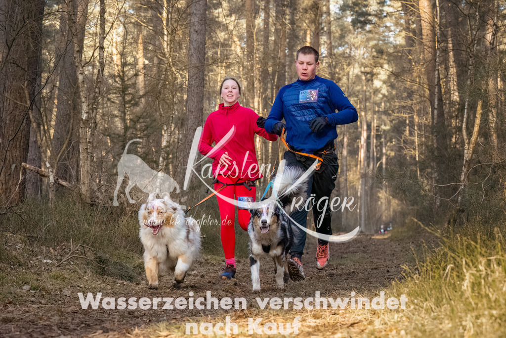 0821_ZZ90670-Bearbeitet | kk-dogfotos