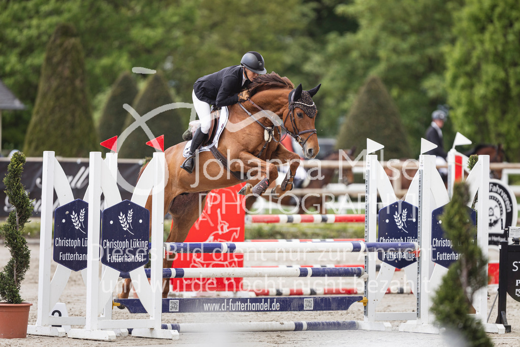 260508_PfSpTa_8_SprPf-A2-831 | Deine schönsten Turniermomente als professionelle Fotos! Entdecke hochwertige Pferdesport-Fotografie im Online-Shop. Jetzt Fotos finden & bestellen!