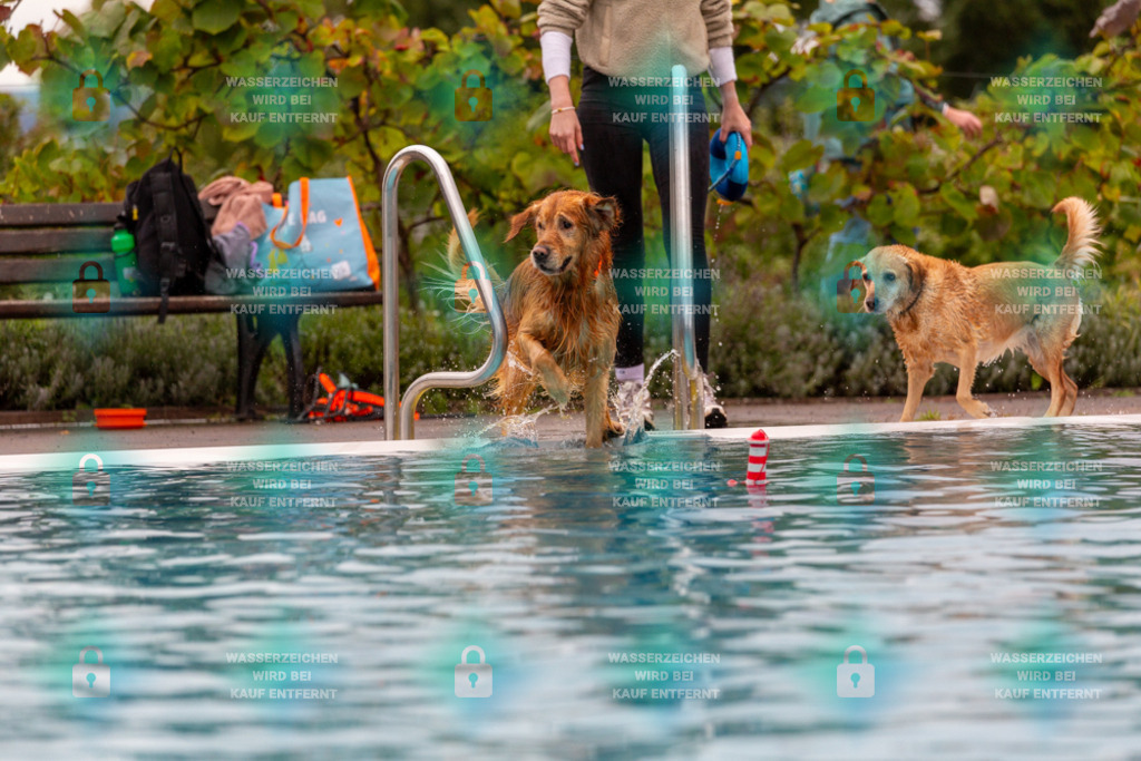 _HP_6115_1000o | HetPix, HetPix Fotodesign, Fotografie, Fotodesign, Webshop, Sportfotografie, Portraitfotografie, Onlineshop, Sportfotografie, Polch, Motorsportfotografie, Eventfotografie