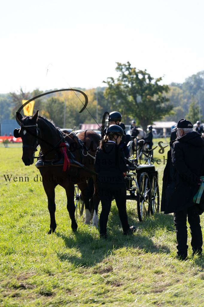 A7V04303 | Pferdefotograf