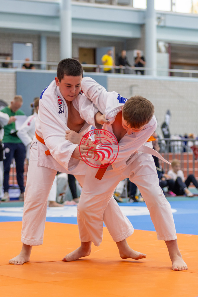 Internationaler Adler Cup 2024 | Foto vom Internationalen Adler Cup Judo Turnier im Sport- und Freizeitzentrum Kalbach im Oktober 2024 - Realisiert mit Pictrs.com