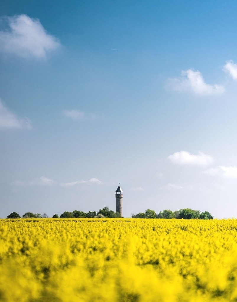 IMG_20220506_221804 | renerovisanfotoart.com