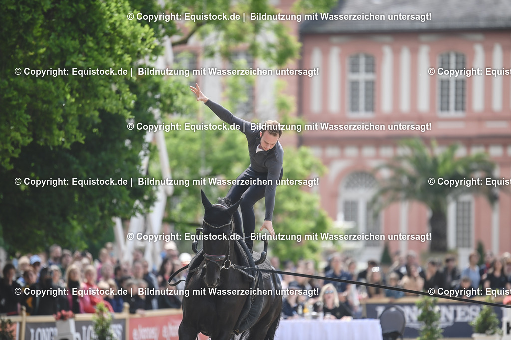 20240519_Voltige_0483 | Foto: Thomas Hartig