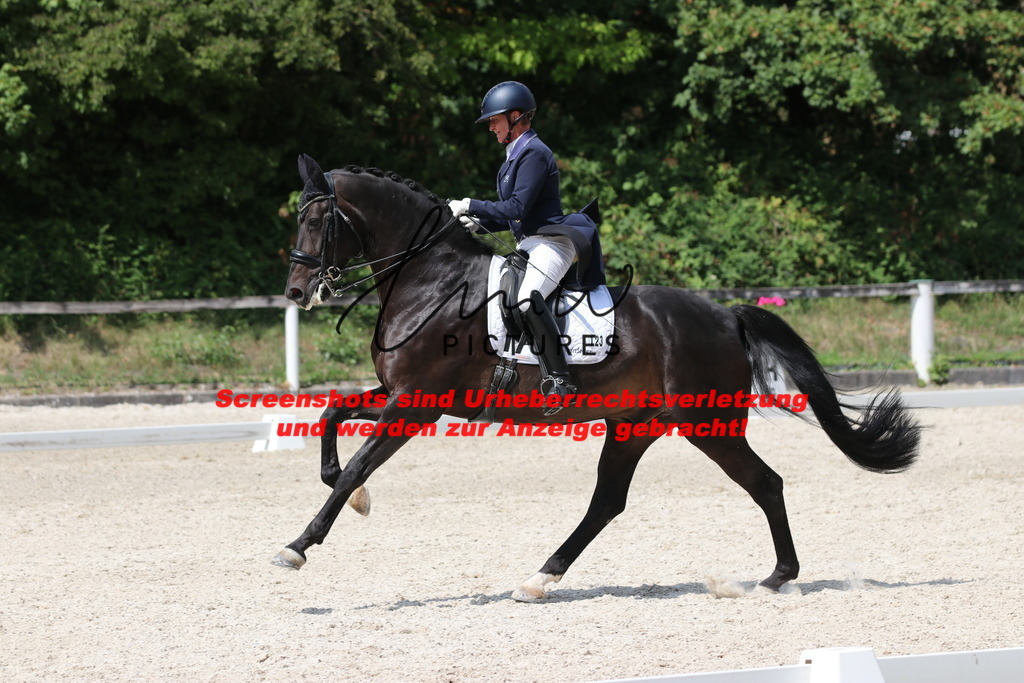 IMG_7426 | lmwpictures - Realisiert mit Pictrs.com