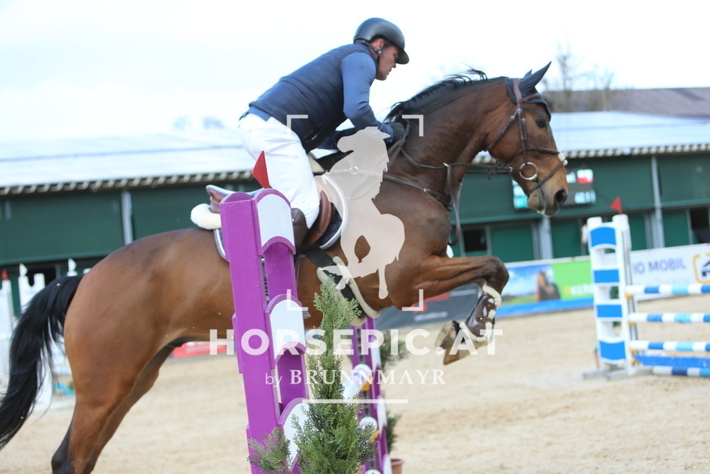 DL2Q9672 | Willkommen bei Brunnmayr - Design & Fotografie – Ihrem Spezialisten für Reitturniere und Pferdeveranstaltungen in Oberösterreich, Salzburg und Bayern! Seit über 17 Jahren sind wir leidenschaftlich dabei.