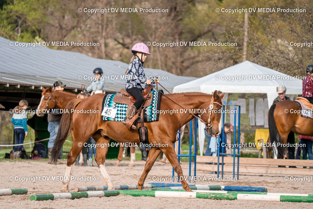 BAL02901 | dv-media-shop - Realisiert mit Pictrs.com