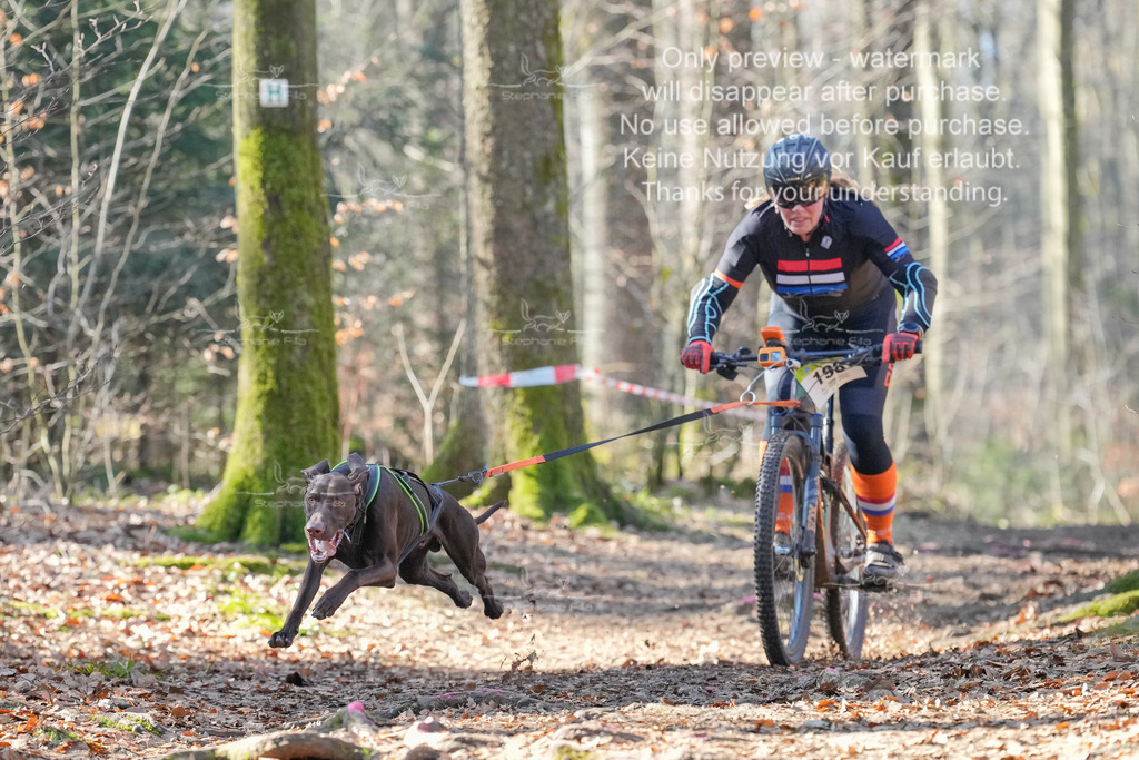 Bike_So-27 | stephaniefillaphotographie - Realisiert mit Pictrs.com