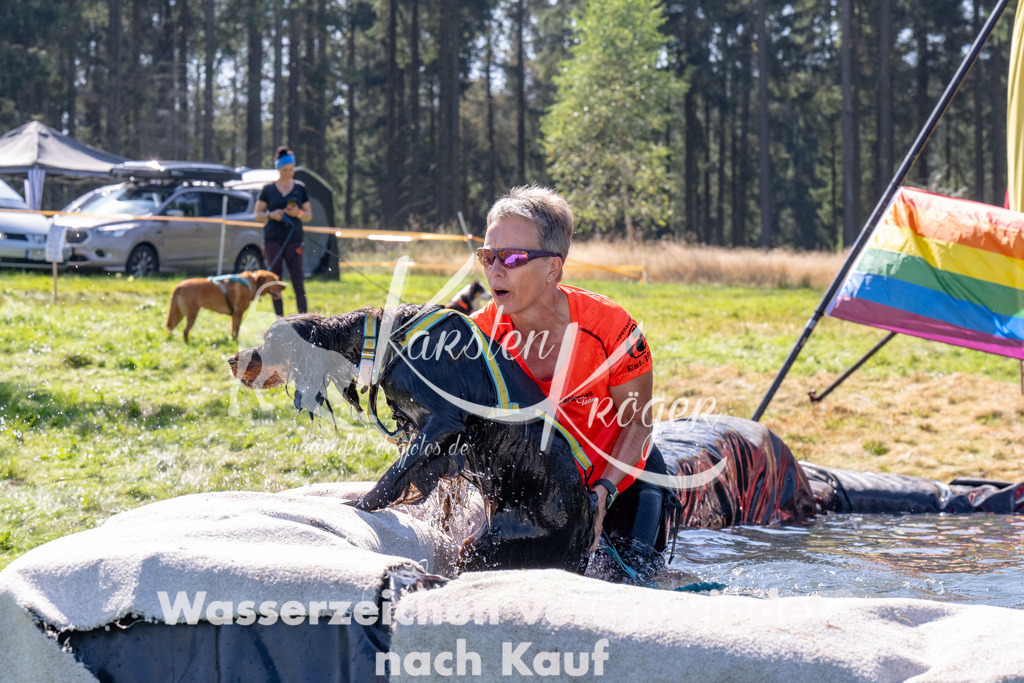 1151_ZZ90648 | kk-dogfotos