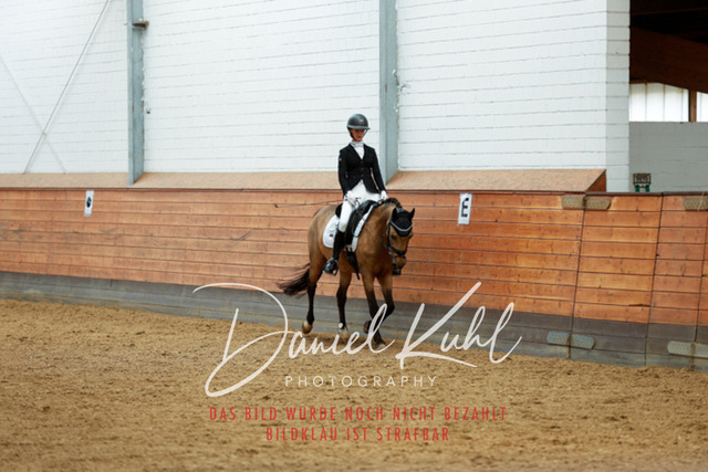 _62_4685 | Turniersportfotografie; Pferdefotografie; Dressurfotografie