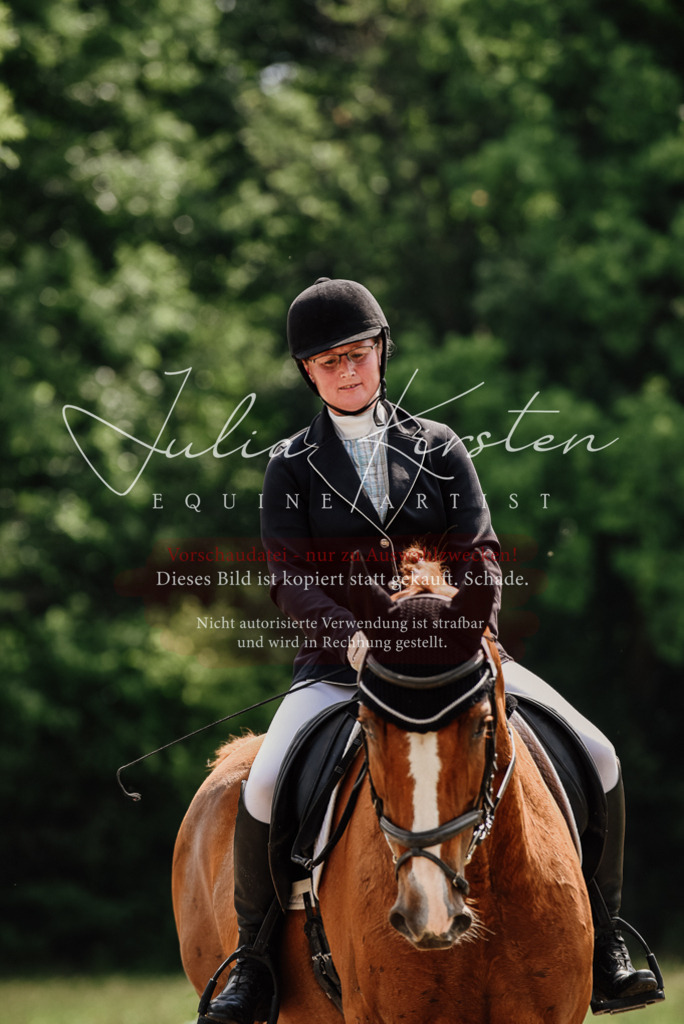 DSC_0658 | Pferde- und Turnierfotografie in Westsachsen. Pferdeportraits, Auftragszeichnungen und intuitive Kunst.