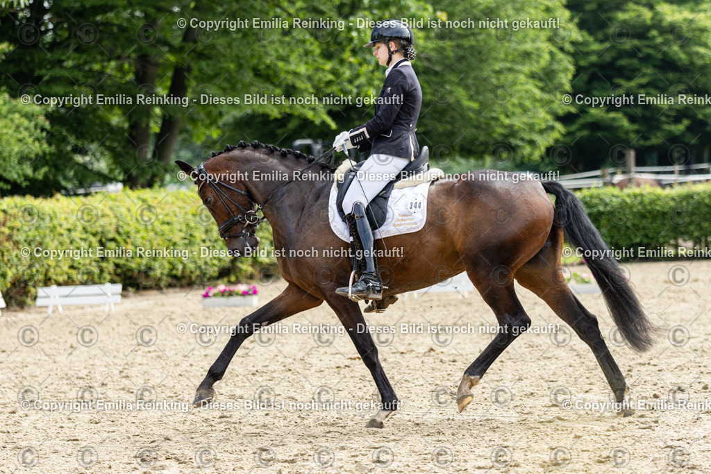 CL5A5443 | Emilia Reinking Fotografie - Realisiert mit Pictrs.com