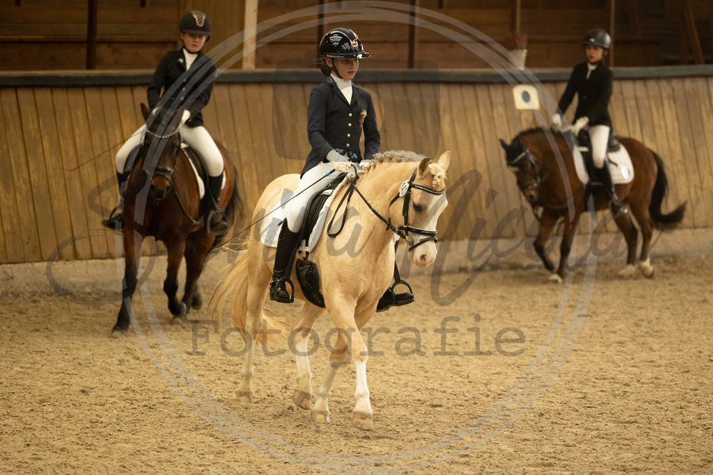 994A4975 | sabrinanicolaifotografie - Realisiert mit Pictrs.com