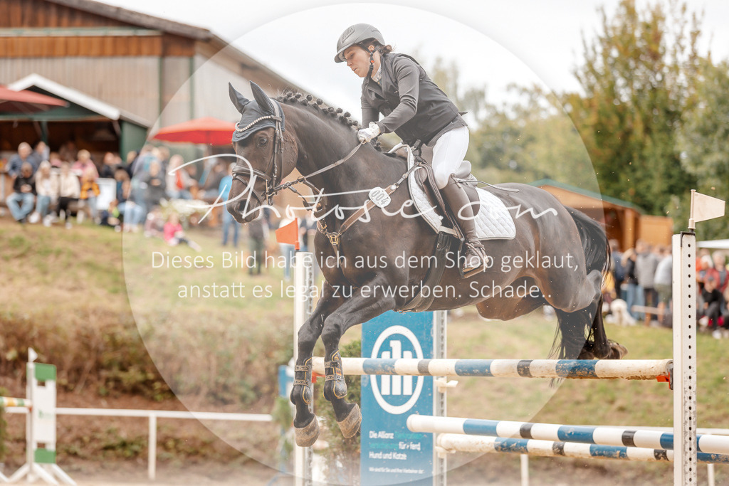 3I6A8062 | Stimmungsvolle Portraits und Reitsportfotografie im Ruhrgebiet und im Münsterland.

Pferdefotografie, Hundefotografie, Tierfotografie, Reportagen, Portraits von Tier und Mensch, Turnierfotografie in Bochum, Recklinghausen, Marl, Haltern am See, Dülmen.. - Realisiert mit Pictrs.com