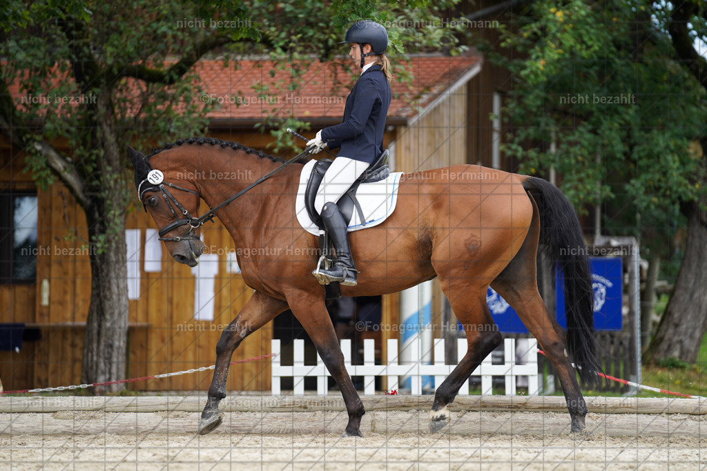 20230826-FAH05678 | Forstinning, 2023, Dressurturnier, Turniersportbilder, Turnierfotografen Bayern, Fotoagentur Herrmann, Reitsportfotografie, Turnierbilder