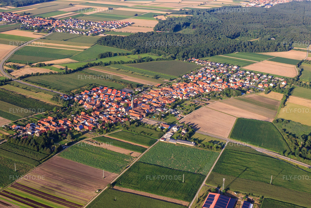 Luftbild: Ortsansicht von Südwesten in Erlenbach bei Kandel im Bundesland Rheinland-Pfalz in Deutschland. Foto: IMG_50998.jpg vom 22.07.2012 durch Werner Riehm/FLY-FOTO.de