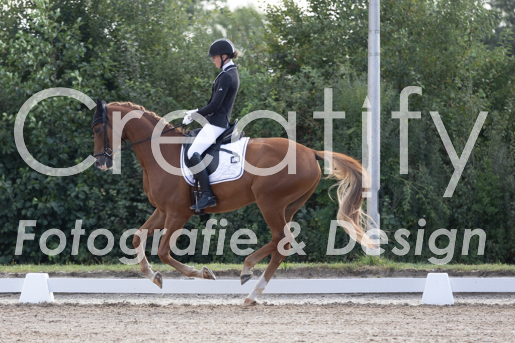 IMG_9813 | Creatify Fotografie