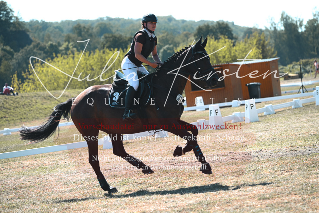 DSC_8231 | Pferde- und Turnierfotografie in Westsachsen. Pferdeportraits, Auftragszeichnungen und intuitive Kunst.