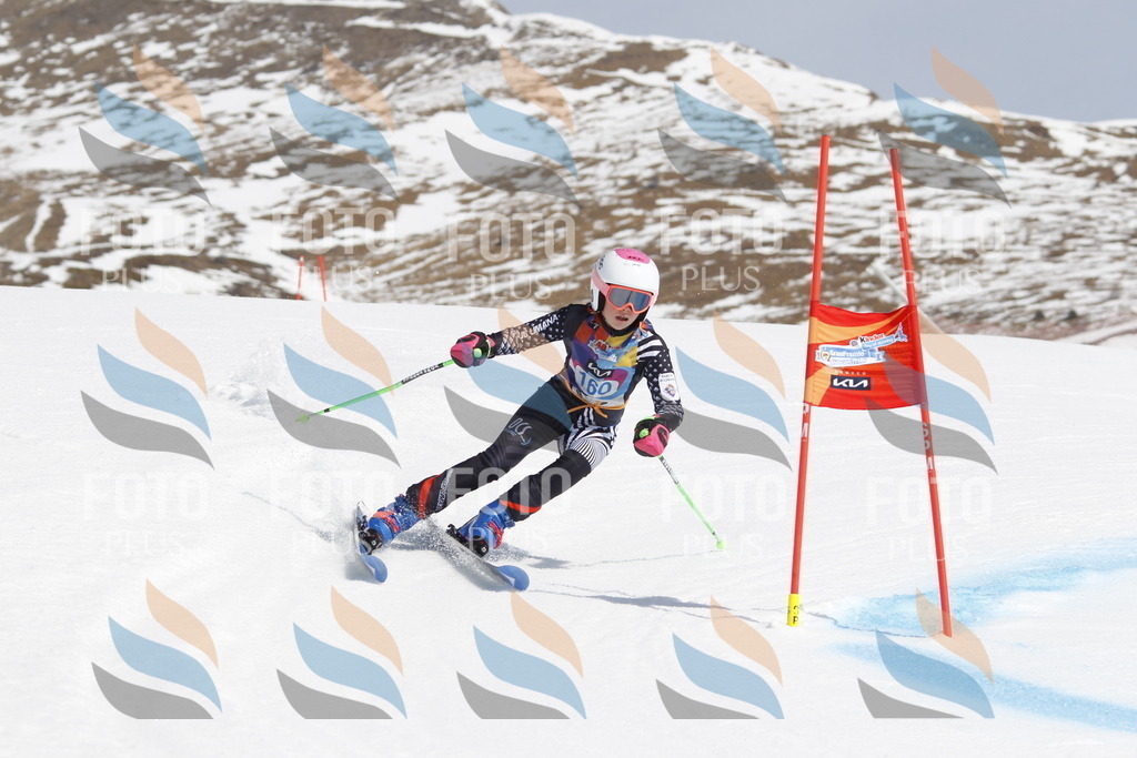 _U3G1388 | holidayphoto