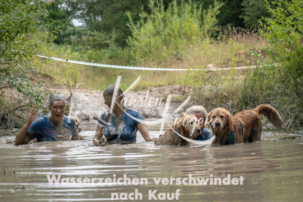 1455_ZZ94282 | kk-dogfotos